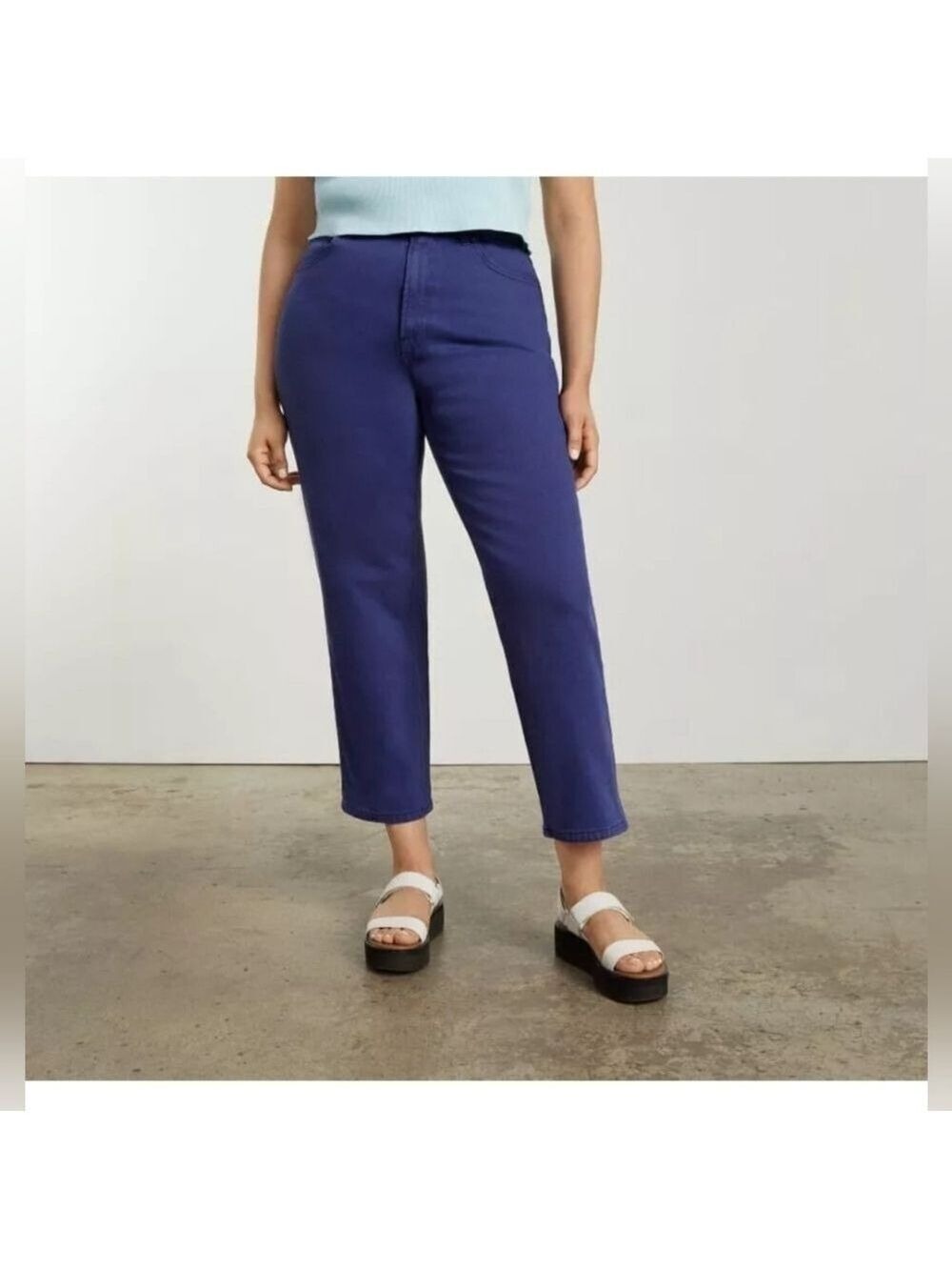EVERLANE Womens 32 The Curvy Way-High Jean Blue Pants